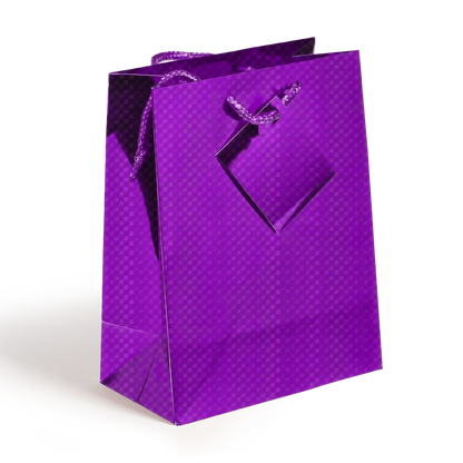 Medium Holographic Gift Bags with Handles  Assorted colors