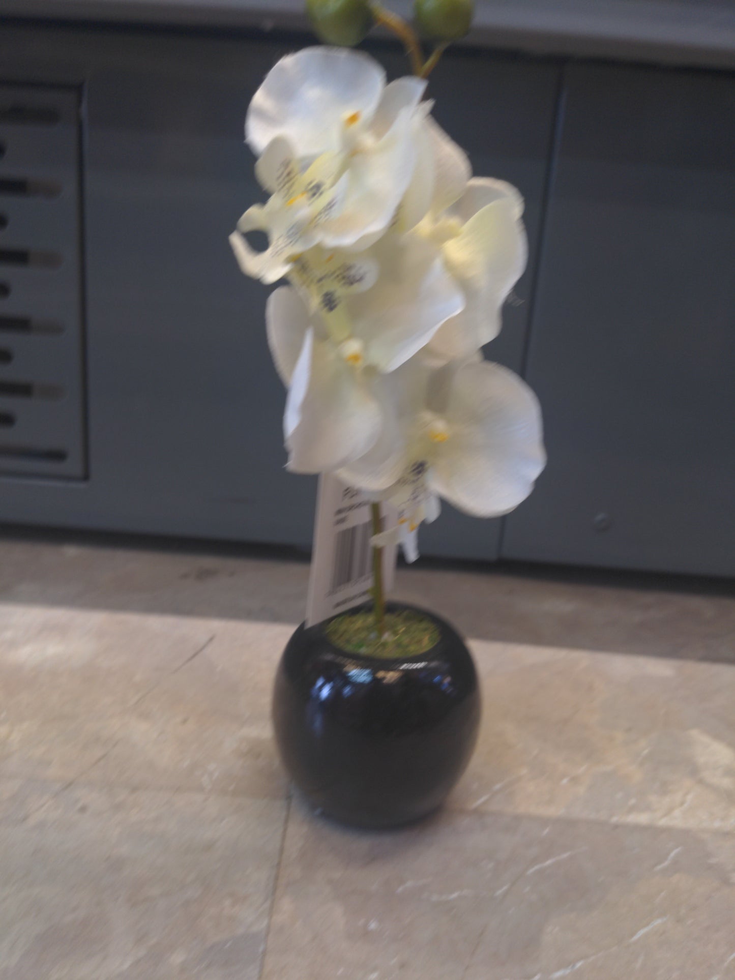 Mini orchidée en sphère