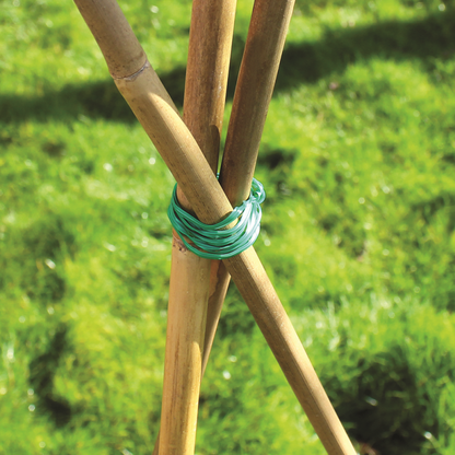 10 PACK OF 150CM BAMBOO CANES