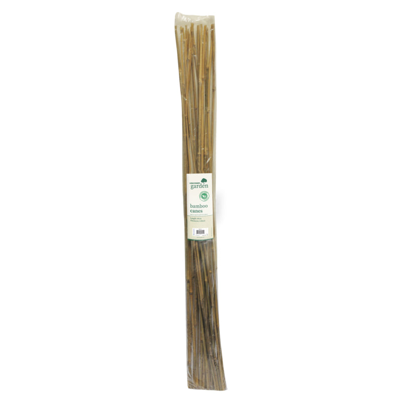 120CM BAMBOO CANES 20 PACK