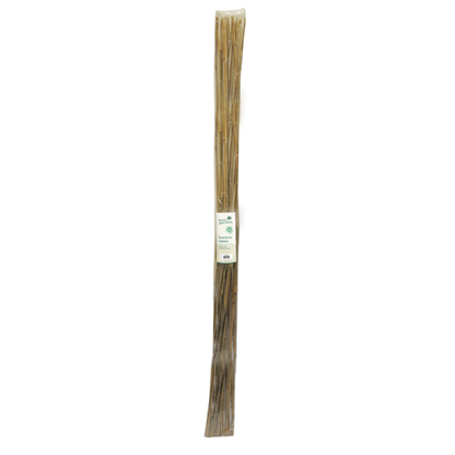 PACK OF 10 220CM BAMBOO CANES