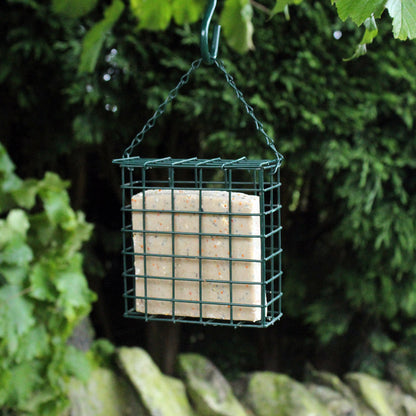 GREEN SUET CAKE BIRD FEEDER