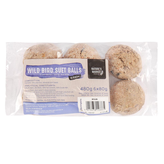 6 PACK OF SUET FAT BALLS