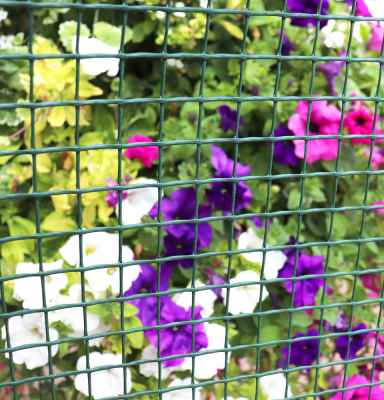 Plastic Mesh Net 50cm x 5m
