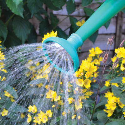 METAL WATERING CAN ROSE