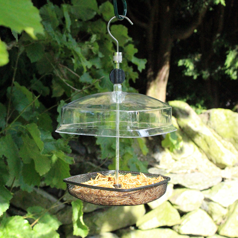 HANGING MEALWORM BIRD FEEDER WITH CANOPY