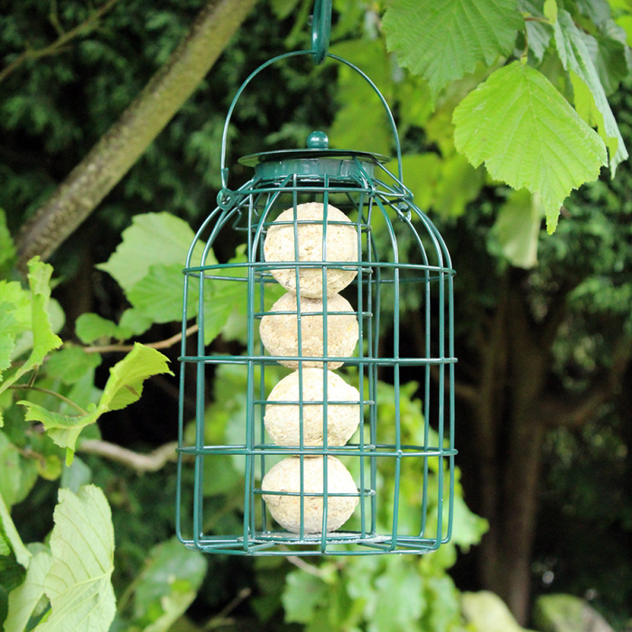 FAT BALL FEEDER WITH SQUIRREL GUARD