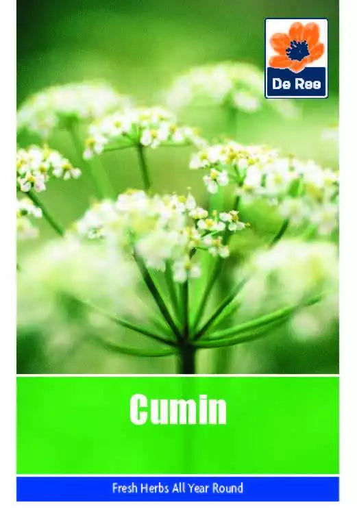 Cumin (cuminum cyminum) Seeds Herb De Ree Grow Your Own