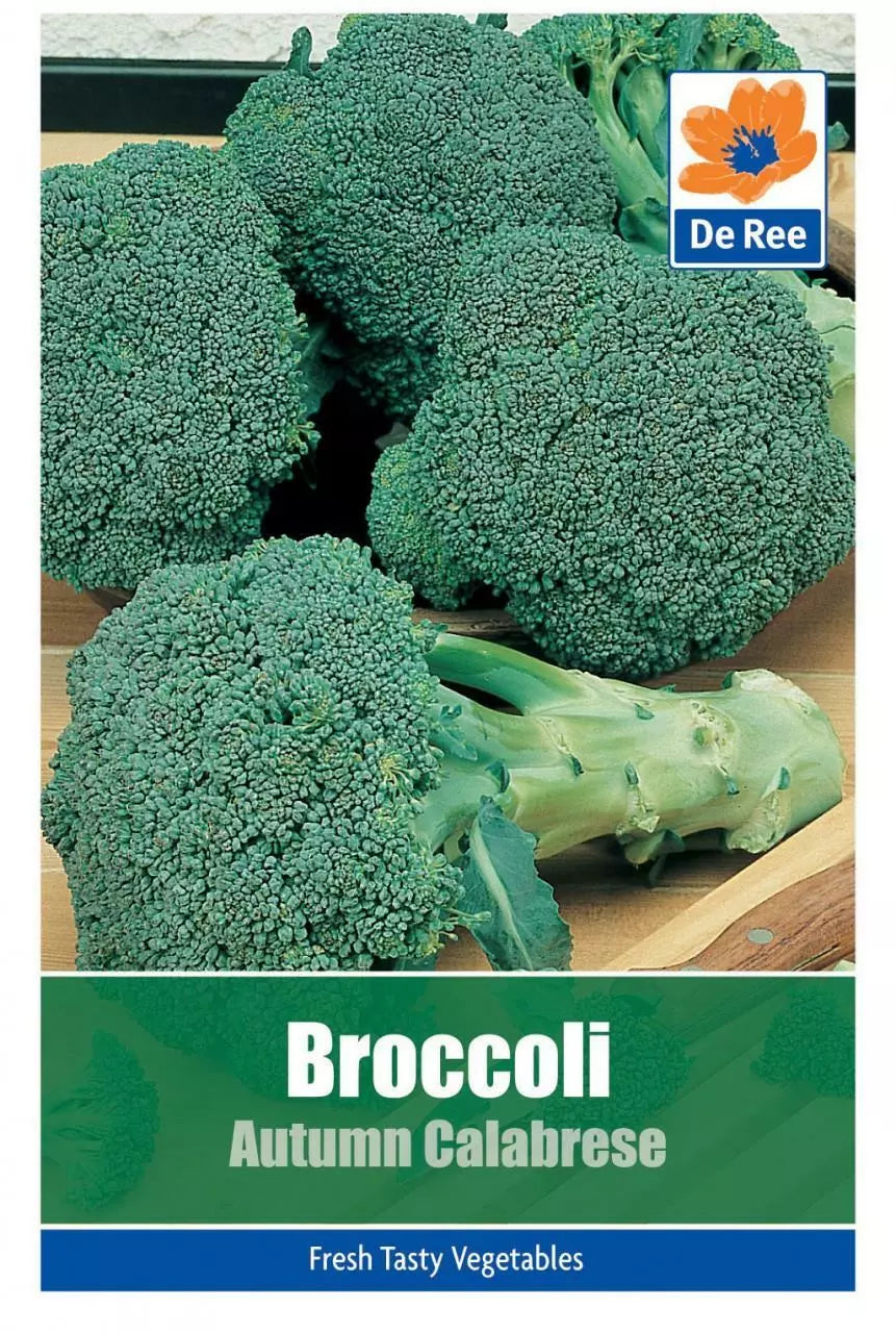 De Ree PACKET of BROCCOLI Autumn Calabrese VEGETABLE Garden SEEDS