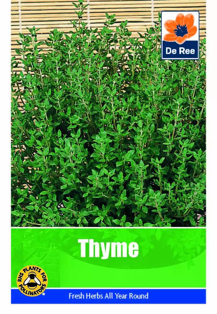 De Ree Thym Herbes fraîches Graines
