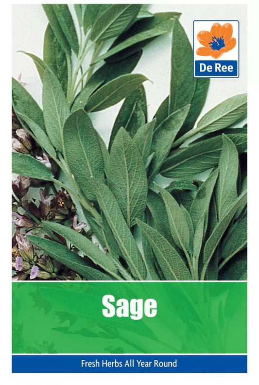SACHET de GRAINES de SAUGE du Jardin 20 GRAINES d'HERBES AROMATIQUES