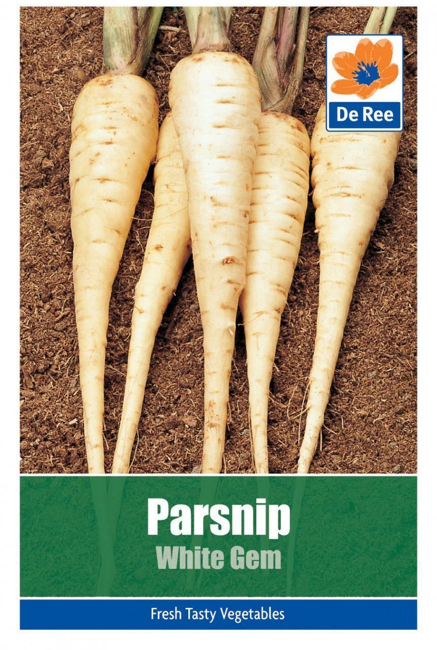 De Ree SACHET de PANAIS White Gem 370 GRAINES potagères