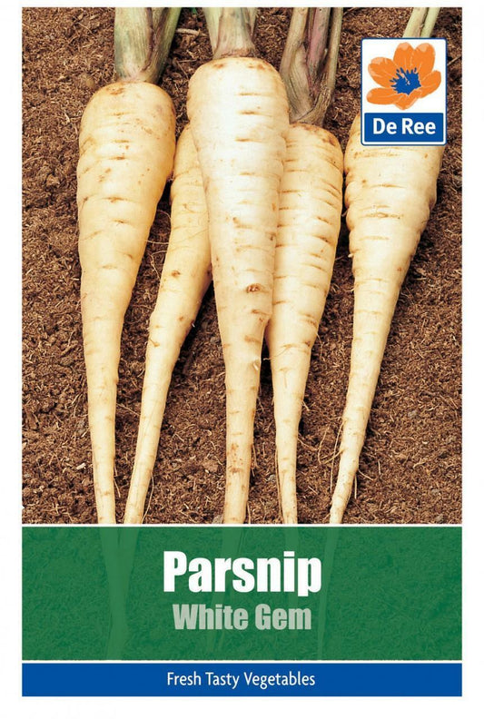 De Ree SACHET de PANAIS White Gem 370 GRAINES potagères