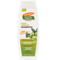 Palmer's Olive Oil Formula Shine Therapy Shampoo 400ml