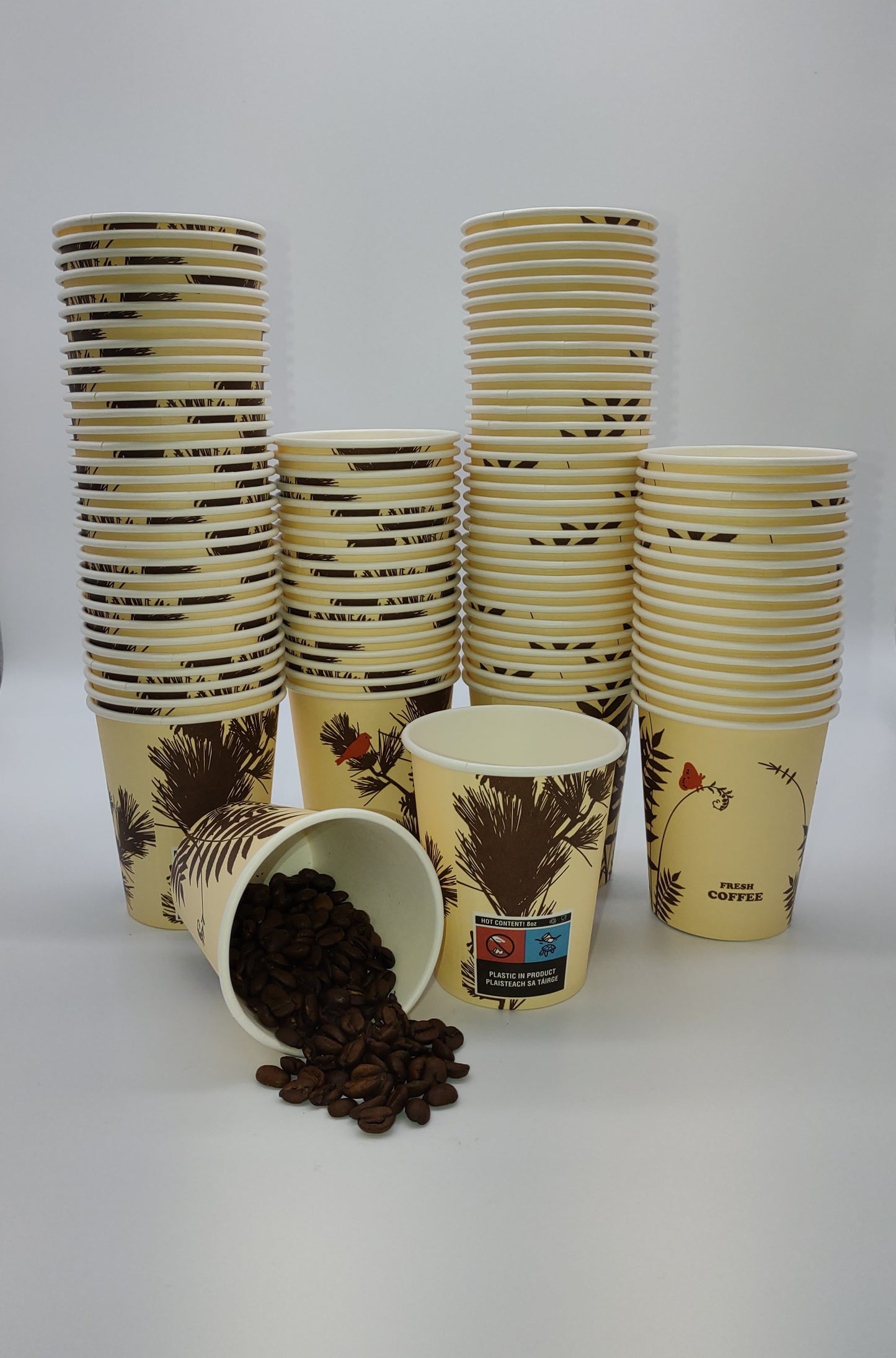 Extra Value Single Wall Printed Coffee Cups  8oz Pk50