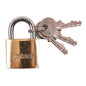 AMTECH  PADLOCK BRASS 32MM