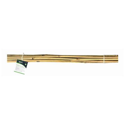 BLACSKPUR 10 TUTEURS BAMBOU 90CM