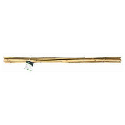 BLACKSPUR SUPPORT DE PLANTES EN BAMBOU 10 PIÈCES DE 120 CM