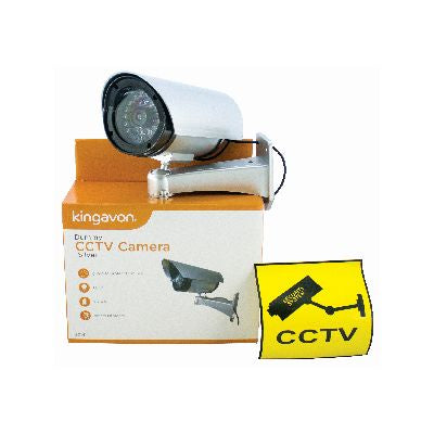 BLACKSPUR FAUSSE CAMÉRA DE SURVEILLANCE - ARGENTÉE